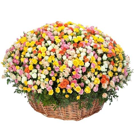 Премиум букет из: Розы в Кодинске