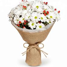 Букет цветов из:  Хризантемы #REPLACE_PRED# Кодинске